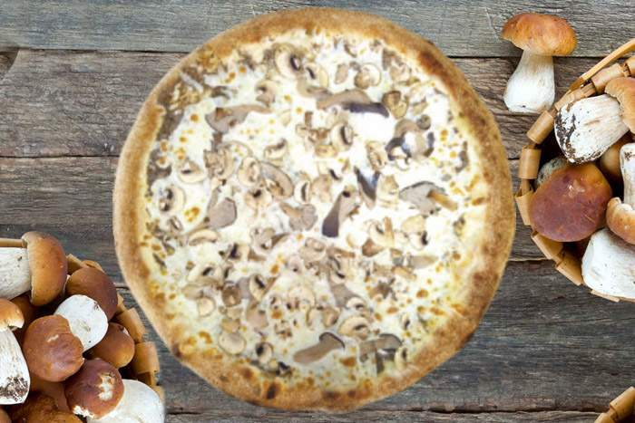 Фунги Порчини